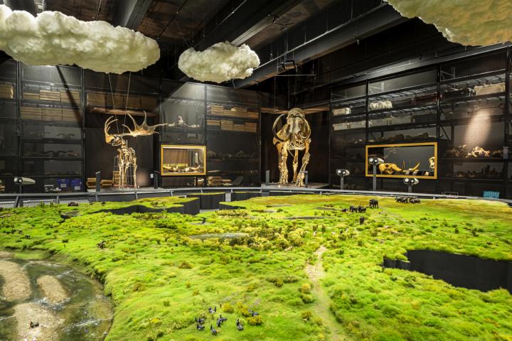 Naturalis museumzaal de ijstijd