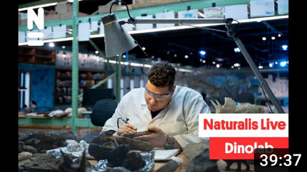 Naturalis Live: Kijkje in het Dinolab
