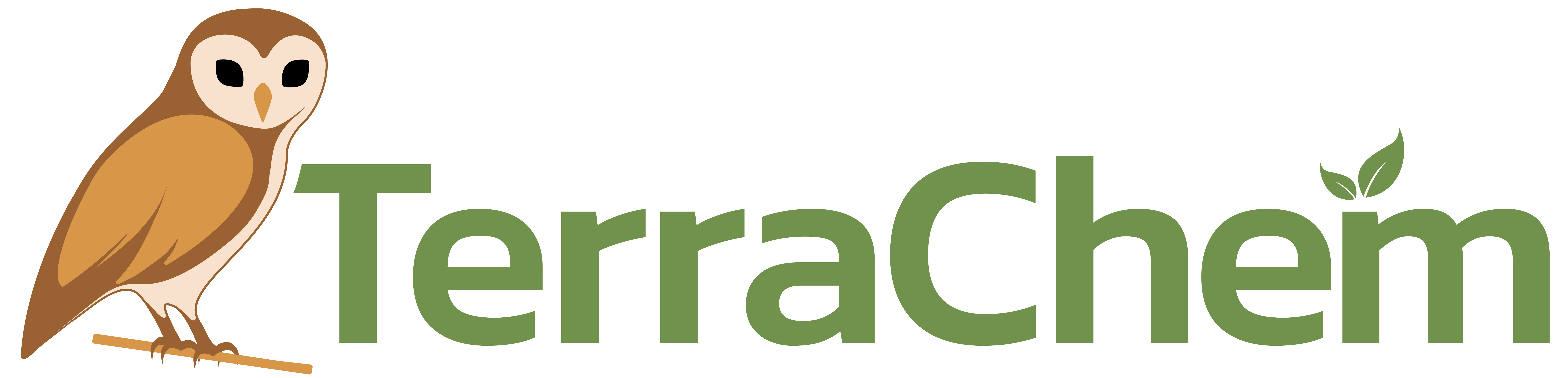 TerraChem logo