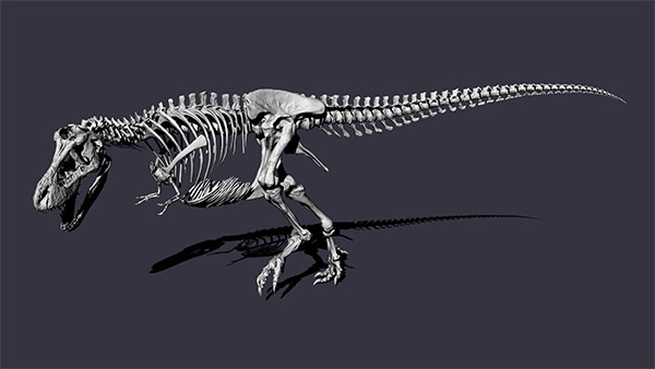 Brand-new T. rex skeleton Trix rolls out of the 3D printer | Naturalis