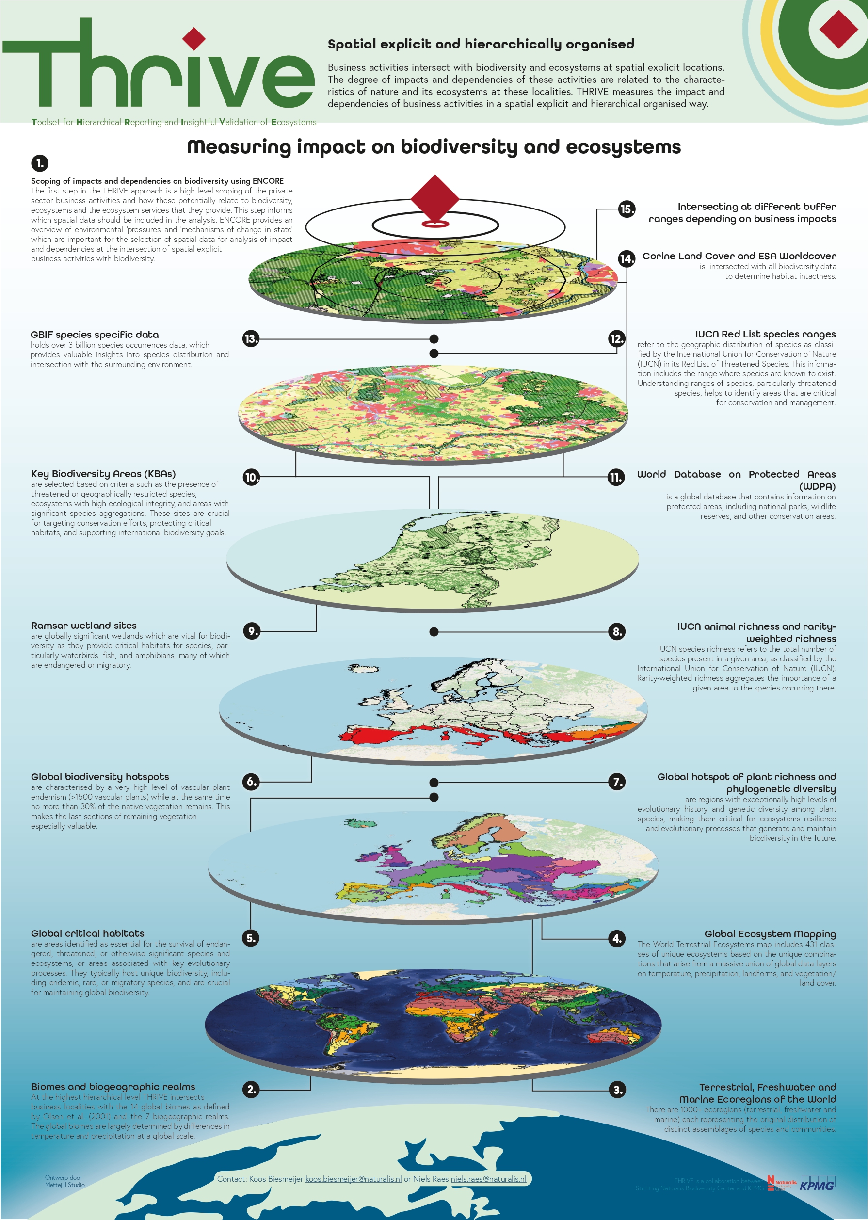 Inforgraphic of THRIVE