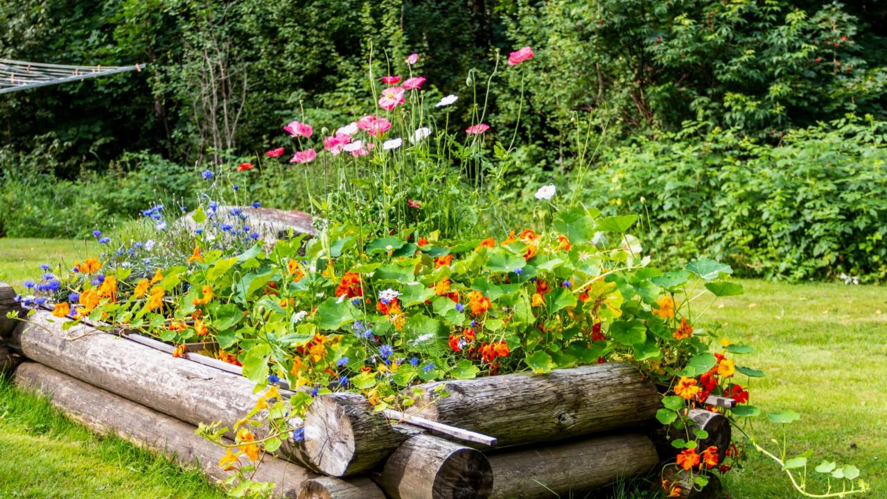 Bloemen bak in tuin 