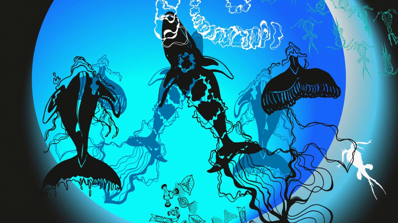 Fragment uit Onze Waterplaneet van Marion Moulen - pen en inkt tekening van zeedieren