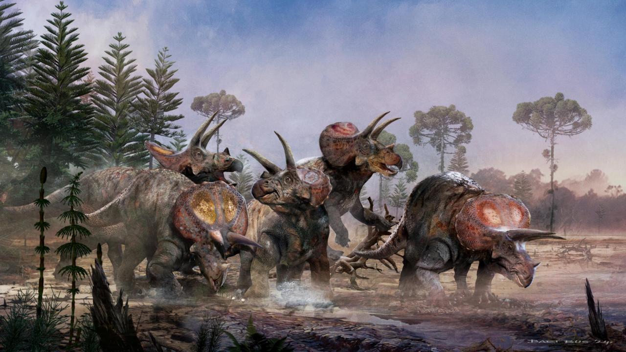 Kudde triceratopsen door Bart Bus