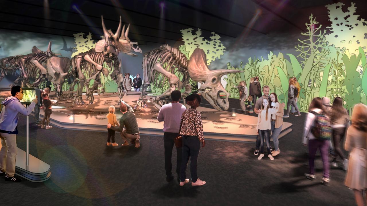 Artist impression tentoonstelling Triceratops: de kudde