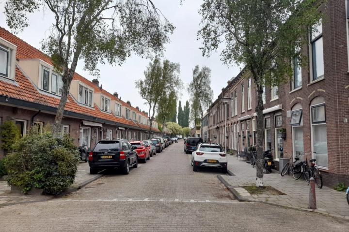 Met berken beplante 'Os en Paardenlaan', een voorbeeld van een straat met sterk allergene bomen (credit: Naturalis)