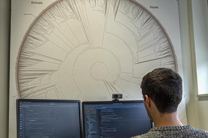 Scientists works on a computer in front of an image of a evolution tree