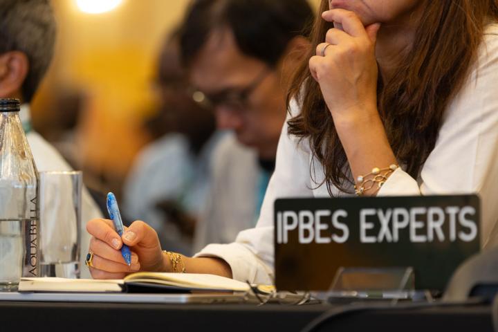 IPBES experts bespreken de rapporten.