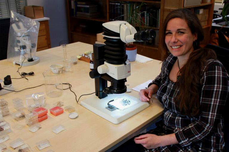 afdeling archeobotanie bij de UvA van Anja Fisher.