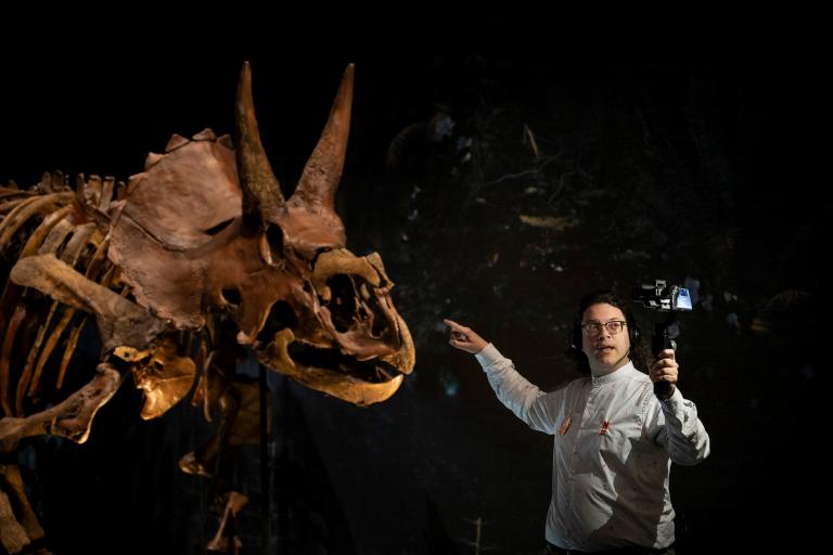 Uitleg bij Triceratops