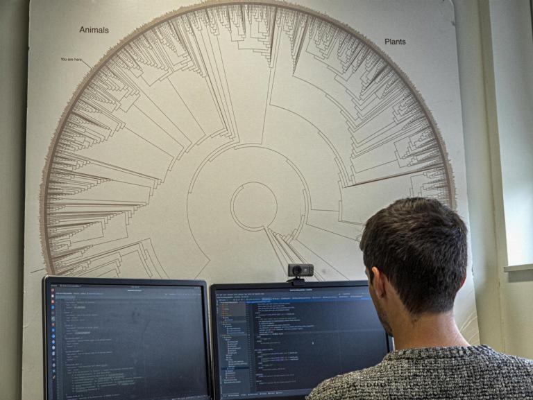 Scientists works on a computer in front of an image of a evolution tree